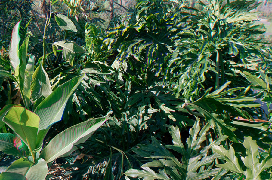 http://www.adamferriss.com/files/gimgs/th-4_slurpyplants.jpg
